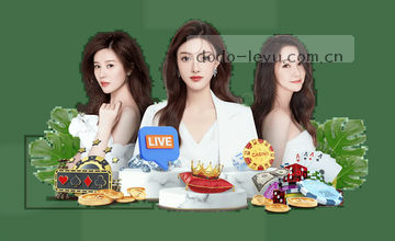 联系支持团队